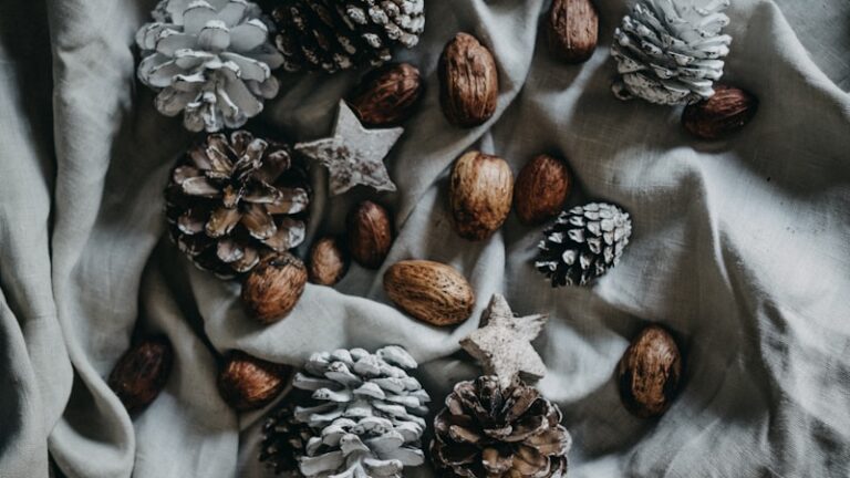 pinecone and nut on top of blanket